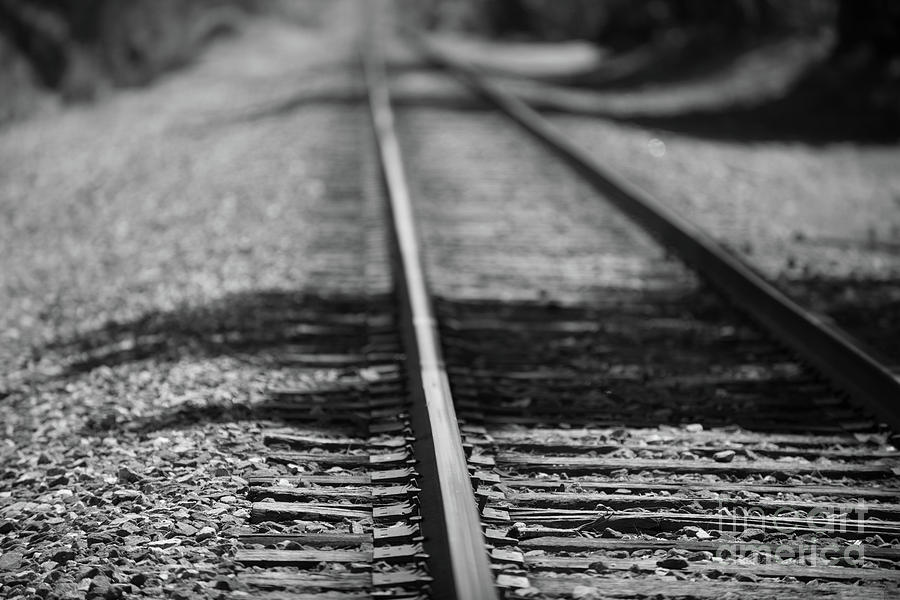 Train Tracks - Summerville Photograph