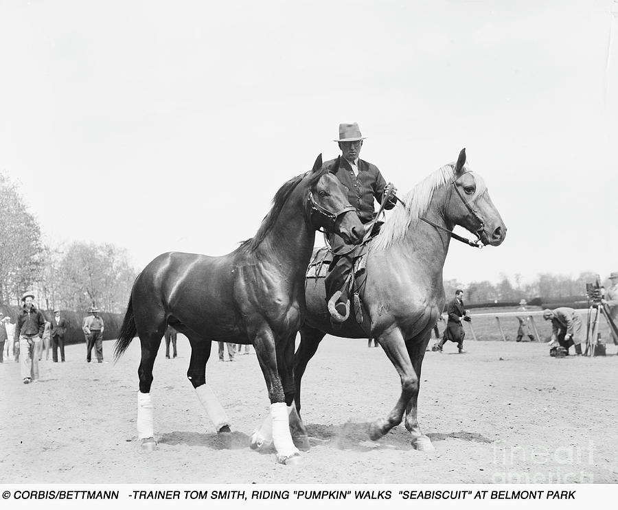 Trainer Tom Smith Leading Seabiscuit Photograph by Bettmann