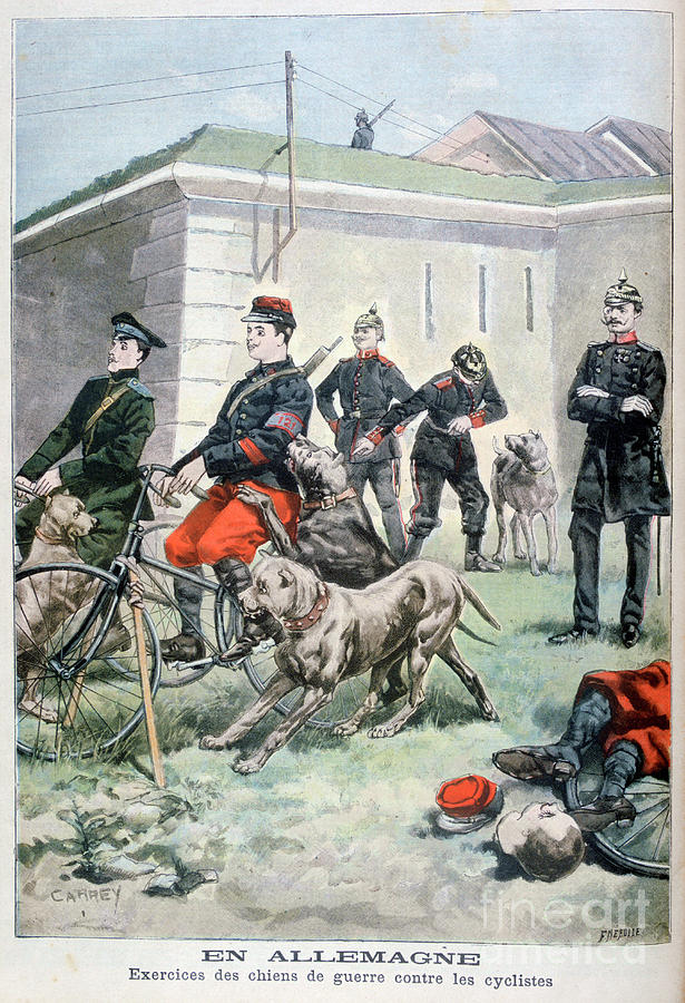 Training Army Dogs To Attack Cyclists Drawing by Print Collector