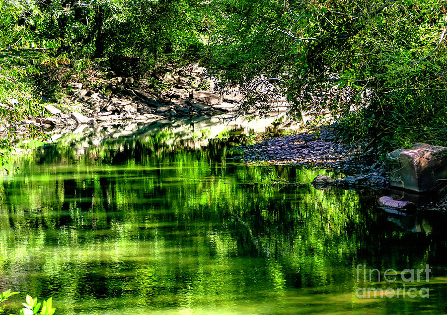 Tranquil Color of Green Photograph by Sandra Js