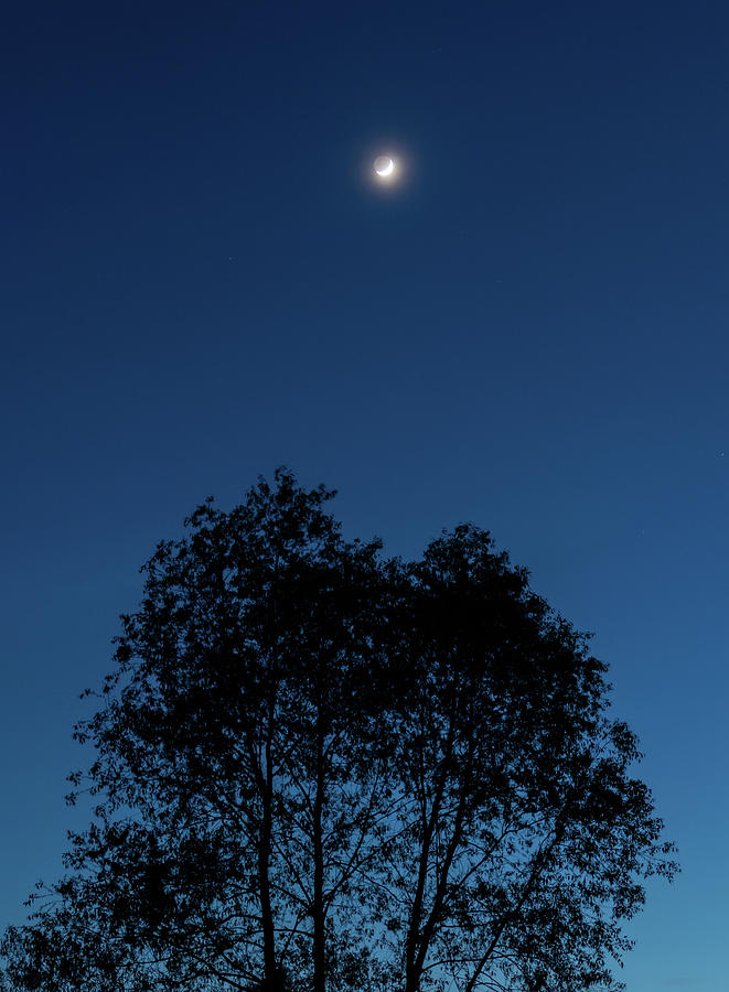 Tranquil Crescent  Photograph by Arthur Oleary