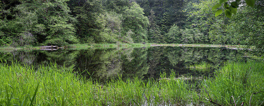 Tranquil Soapstone Lake Photograph by Robert Potts