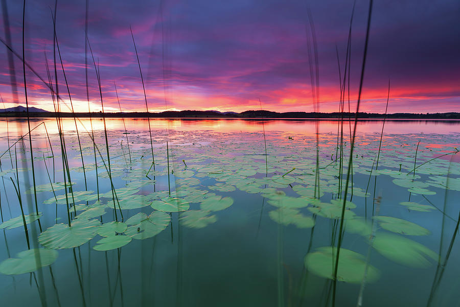 Tranquil Sunset At Lake Bannwaldsee Photograph by Wingmar
