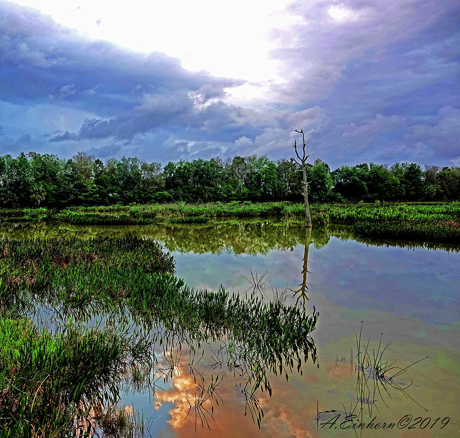 Landscape Photograph - Tranquil Wetlands Vista by Allan Einhorn