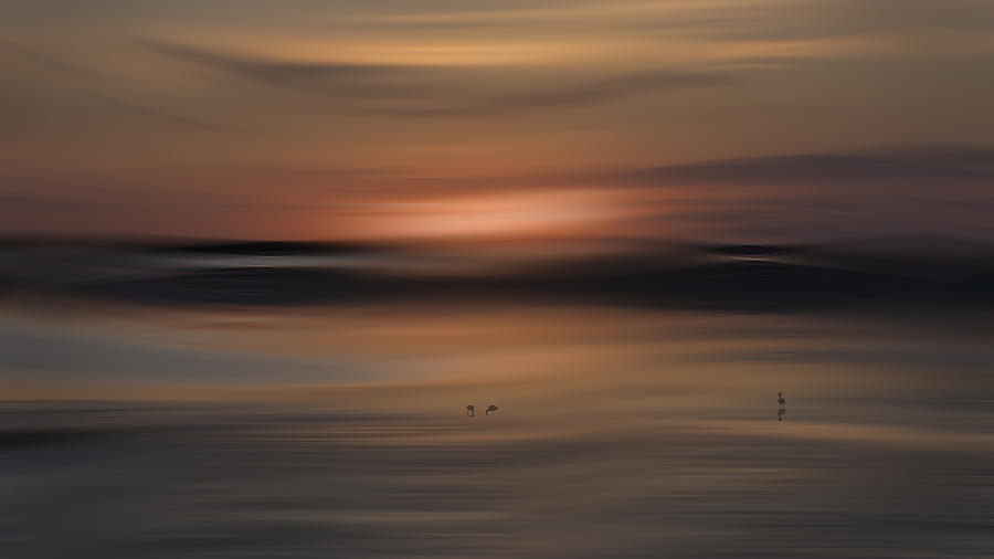 Tranquility Photograph by Greetje Van Son