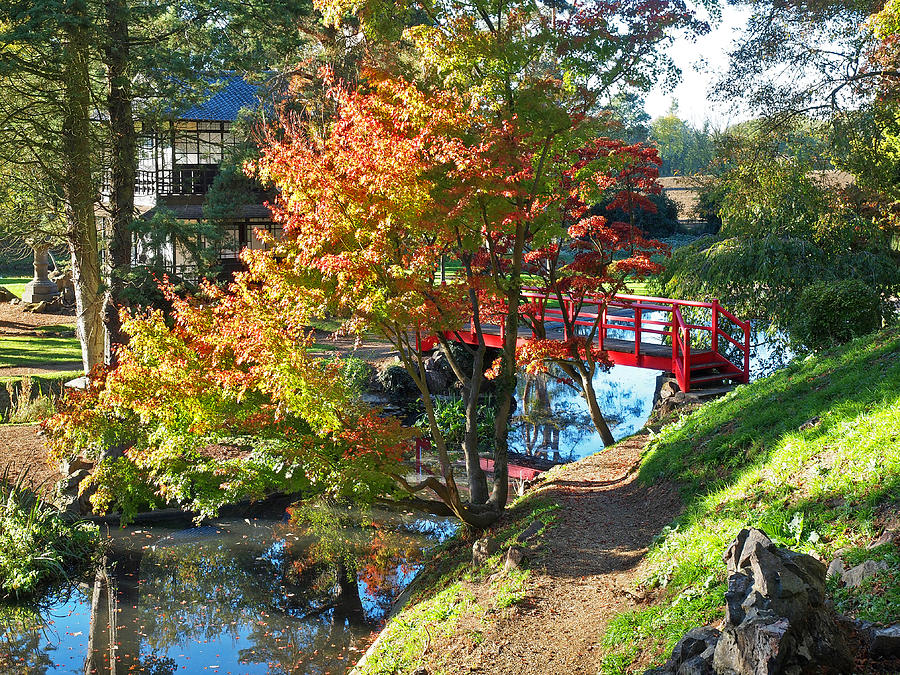 Tranquility - Japanese Garden In Autumn Photograph by Gill Billington