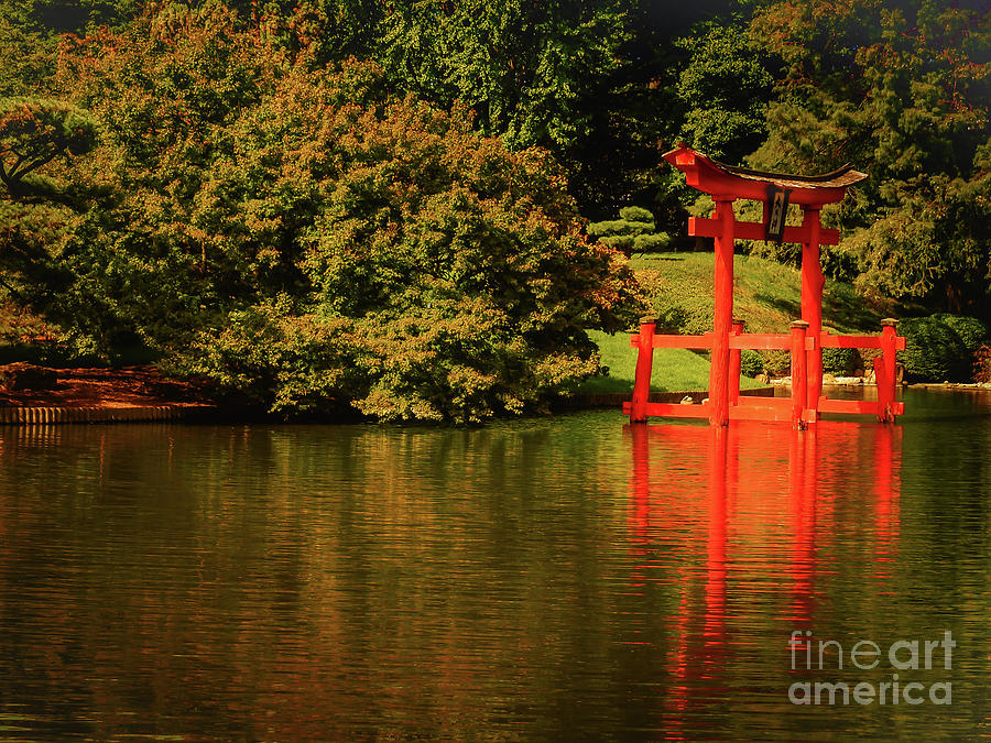 Tranquility by Robin Zygelman Tranquility by Robin Zygelman