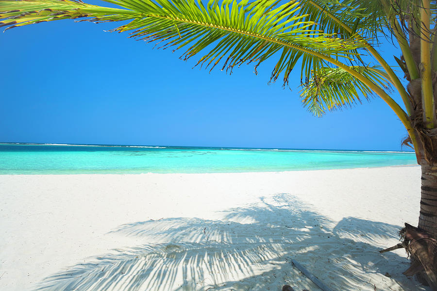 Tranquill Tropical Island Beach In The by Apomares