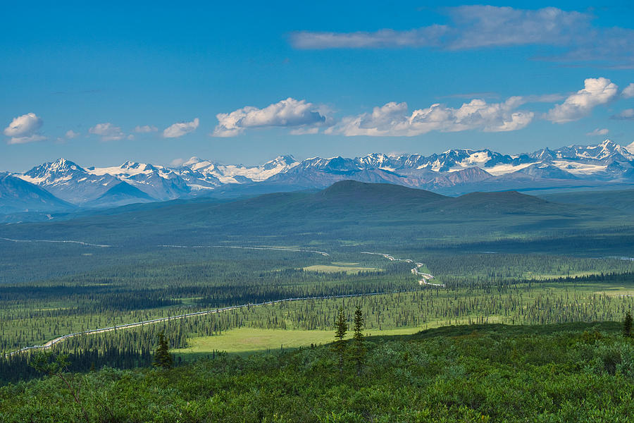 TransAlaska Pipeline - Alaska Range Photograph by Cathy Mahnke