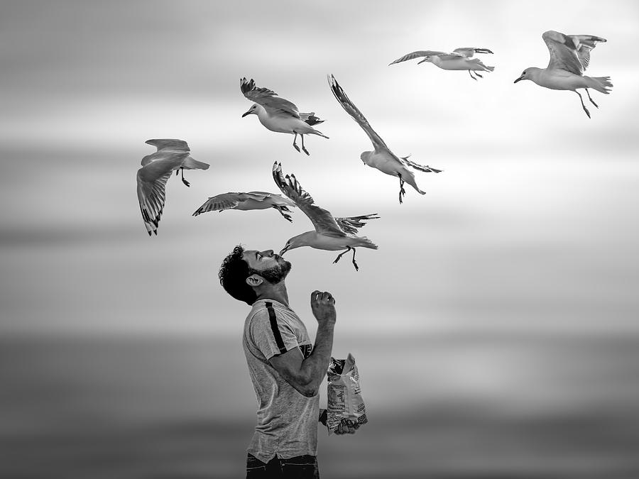 Seagull Photograph - Transcendent Love by Irene Yu Wu