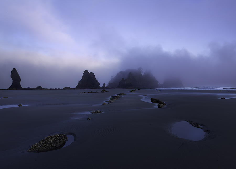 Olympic National Park Photograph - Transition by Dani Bs.