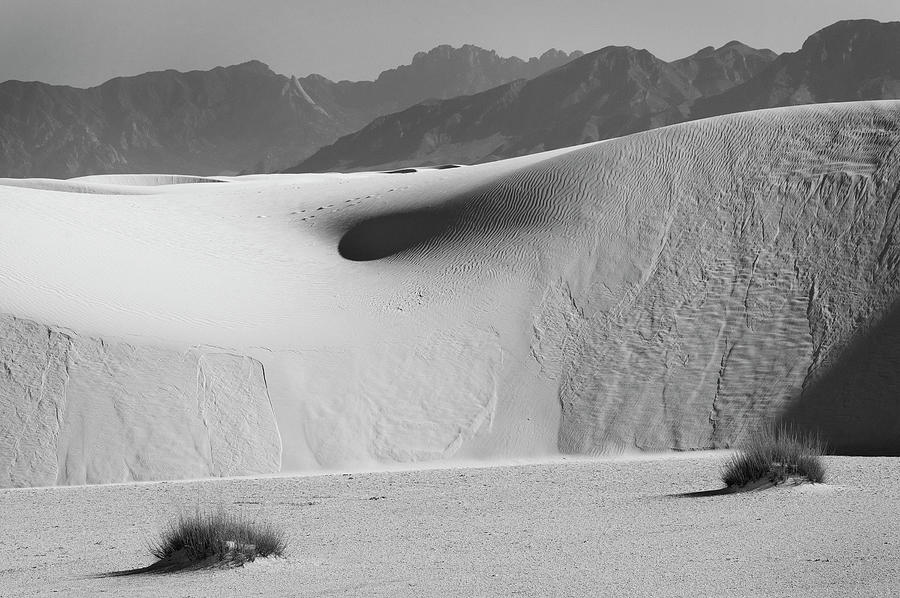 Transitions - White Sands National Monument, New Mexico Photograph by Richard Porter