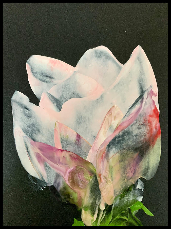 Transparent Tulip Painting by Tommy McDonell
