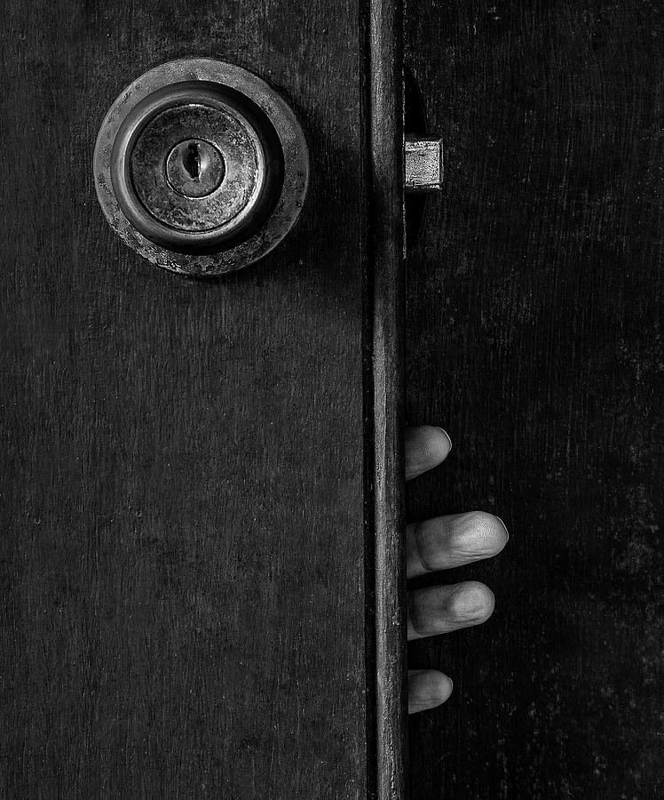 Trapped Photograph - Trapped by Jacqueline Hammer Trapped Photograph - Trapped by Jacqueline Hammer