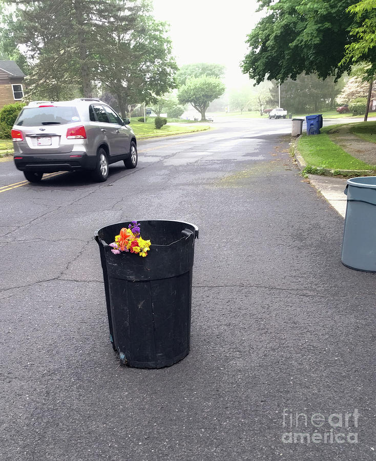 Flowers Photograph - Trash Day Road Bouquet by Steven Digman Flowers Photograph - Trash Day Road Bouquet by Steven Digman