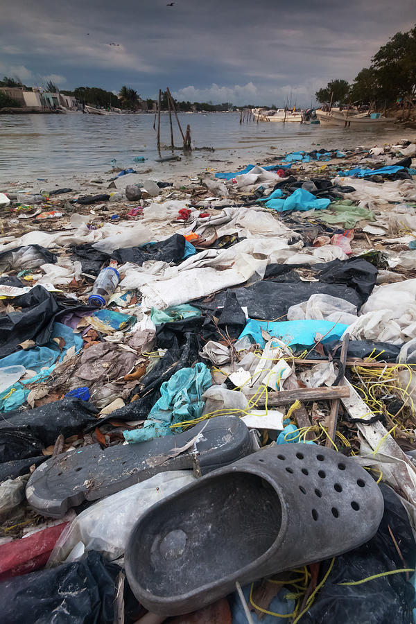 Trash In The Coastal Lagoon Used To Construct Irregular Photograph by Claudio Contreras / Naturepl.com Trash In The Coastal Lagoon Used To Construct Irregular Photograph by Claudio Contreras / Naturepl.com