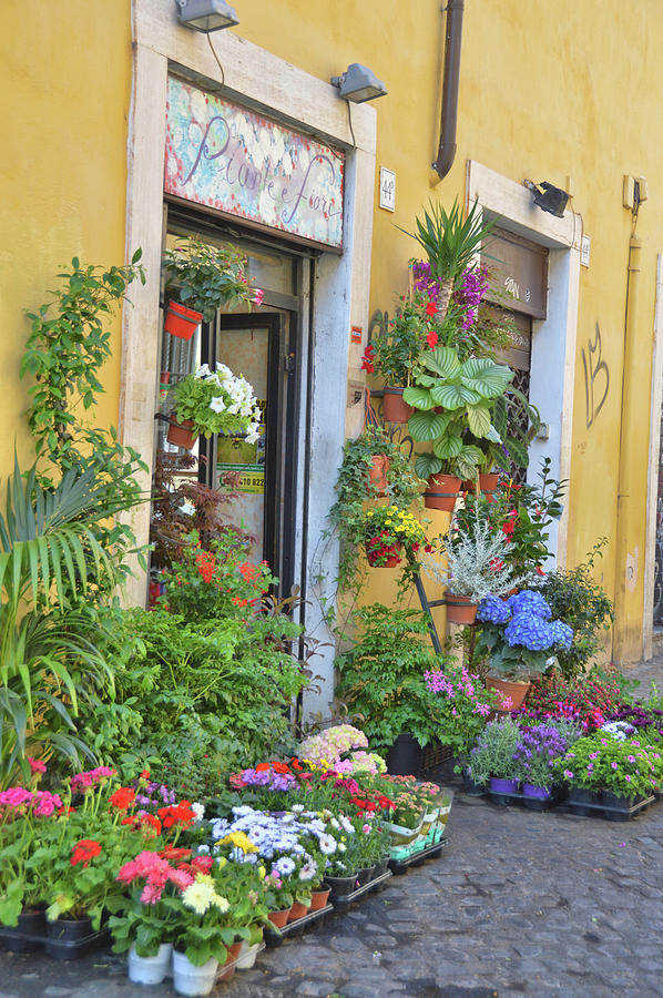 Trastevere Flower Shop Photograph by JAMART Photography