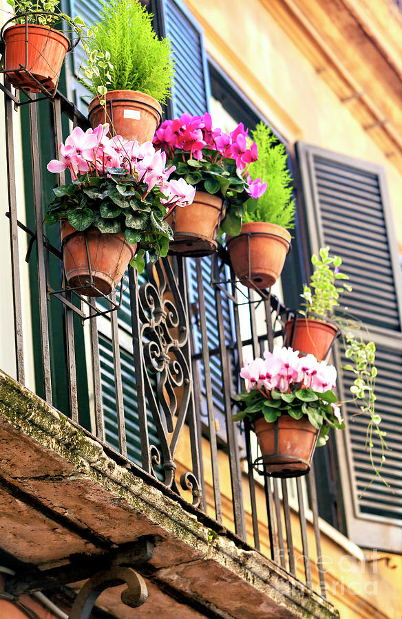 Trastevere Flowers in Rome Photograph by John Rizzuto
