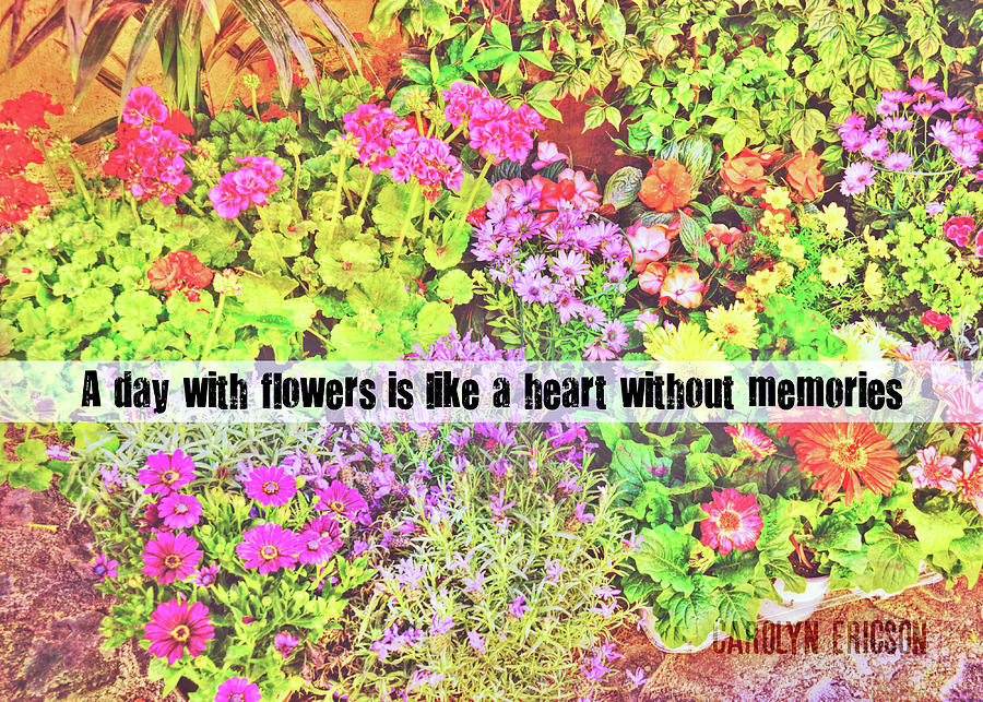TRASTEVERE FLOWERS quote Photograph by JAMART Photography