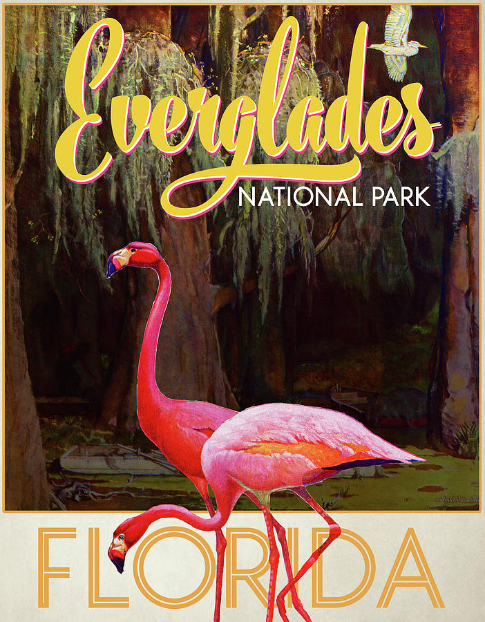 Flamingo Drawing - Travel Poster_everglades by Mead Schaeffer