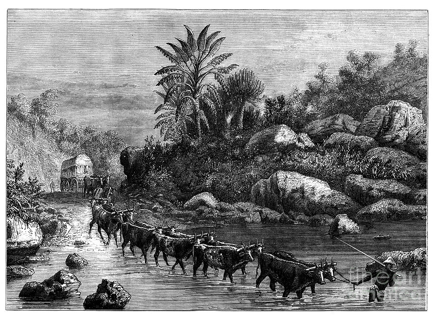 Travelling In Griqualand, South Africa Drawing by Print Collector