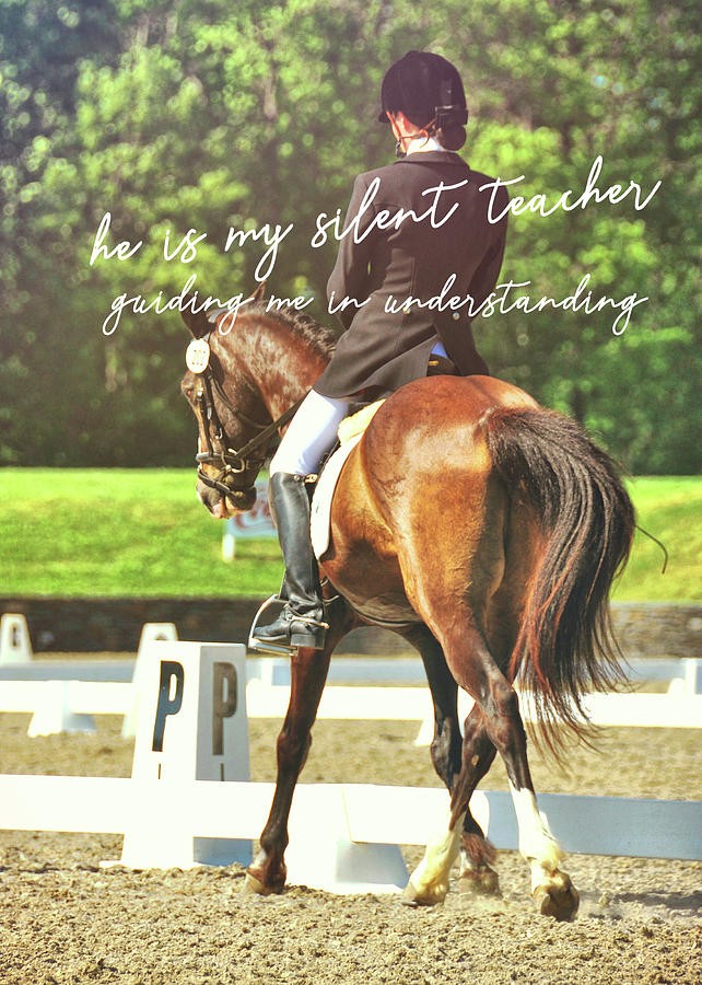 TRAVERS LEFT quote Photograph by JAMART Photography