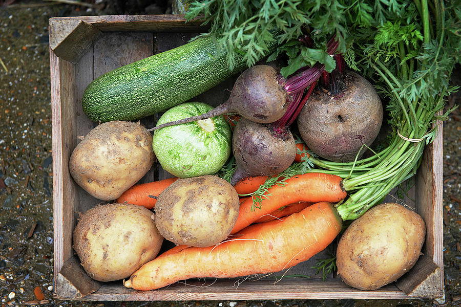 Tray Of Fresh Vegetables Digital Art by Adie Bush - Fine Art America