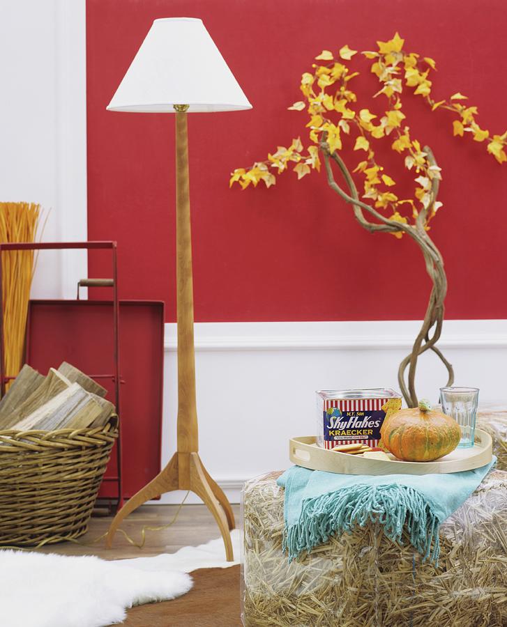 Tray Of Groceries On Stool In Front Of Standard Lamp With White Lampshade And Wooden Base And Small Tree Against Red-painted Wall Photograph by Matteo Manduzio
