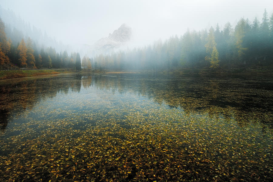 Fall Photograph - Tre Cime Concealed by Paolo Giudici