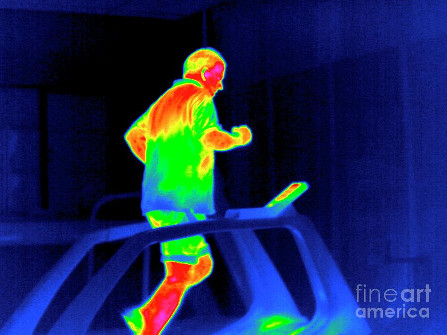 Treadmill Exercise Photograph by Tony Mcconnell/science Photo Library