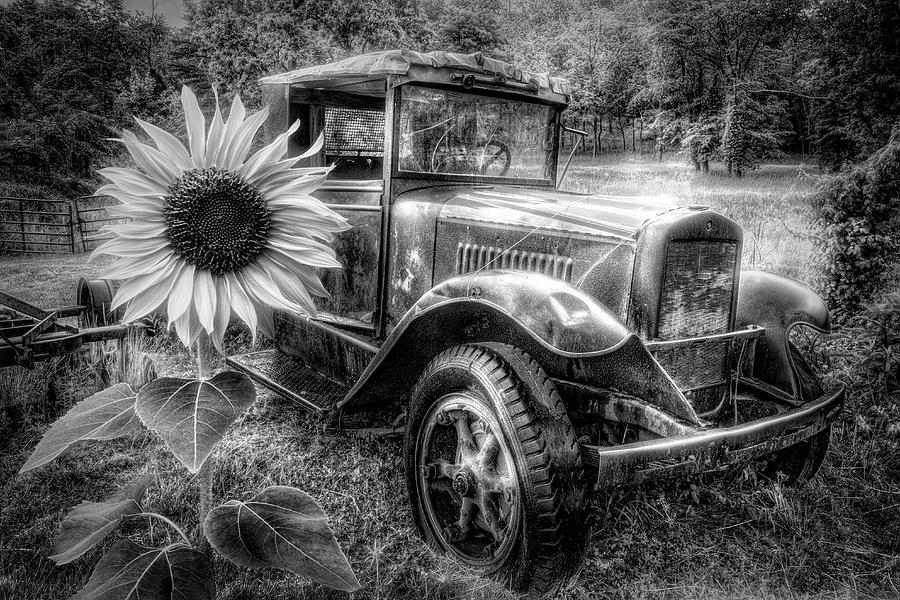 Treasure in Black and White Photograph by Debra and Dave Vanderlaan