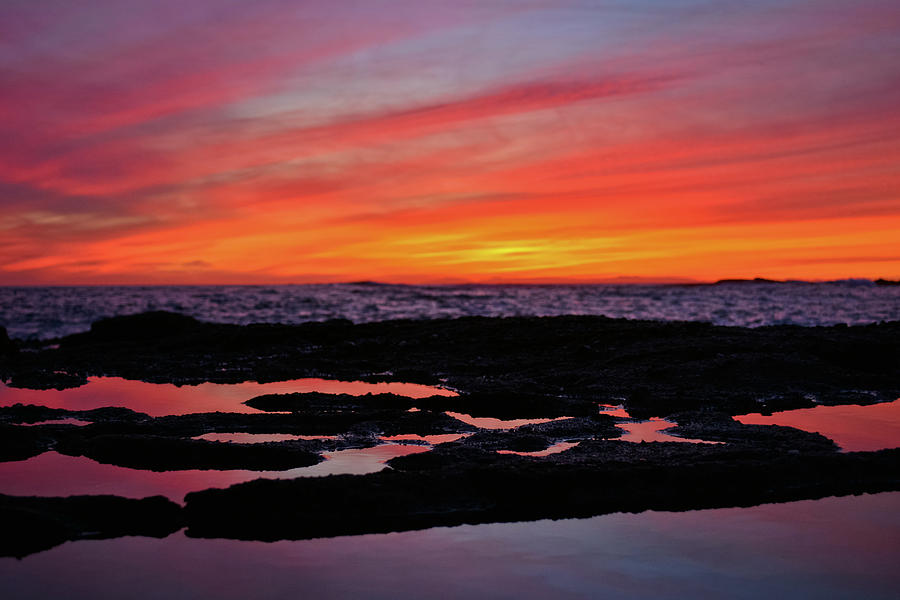 Treasure Island Coastal Sunset Photograph by Kyle Hanson