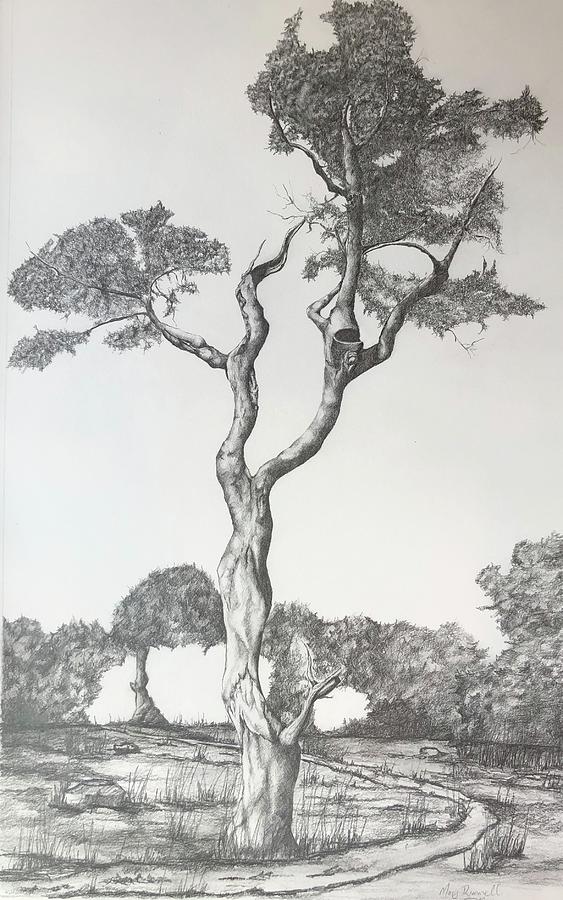 Tree 2 of 1 by Mary Rimmell Tree 2 of 1 by Mary Rimmell