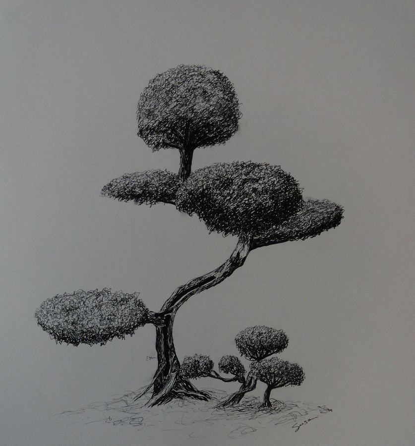 Tree 47 Drawing by Susan Anderson