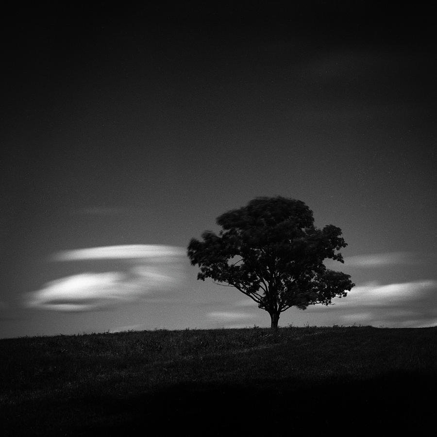 Tree And Clouds Photograph by Adam Garelick