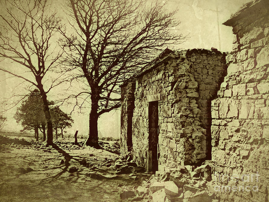 Ruins Digital Art - Tree and Ruins by Jurgen Huibers Ruins Digital Art - Tree and Ruins by Jurgen Huibers