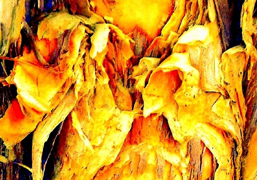 Tree Bark 2 Contest Detail 2 by VIVA Anderson Tree Bark 2 Contest Detail 2 by VIVA Anderson