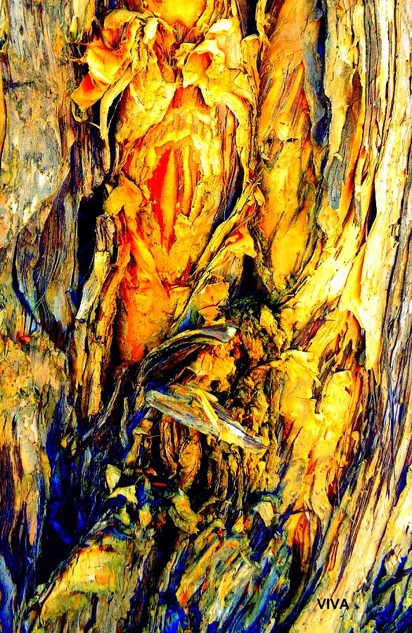Tree Bark 2 by VIVA Anderson Tree Bark 2 by VIVA Anderson