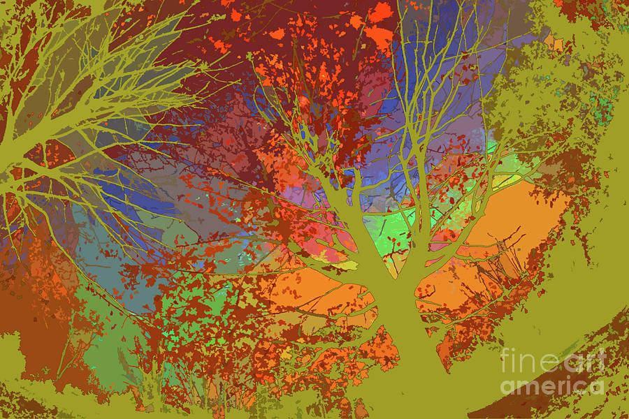 Tree Branches 103 Digital Art by Chris Taggart - Pixels