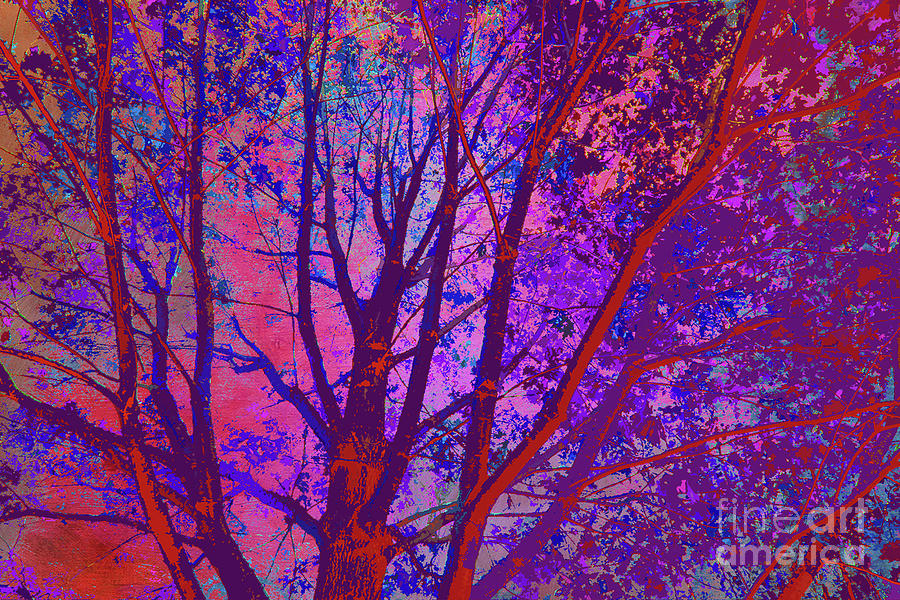 Tree Branches 21 Digital Art by Chris Taggart