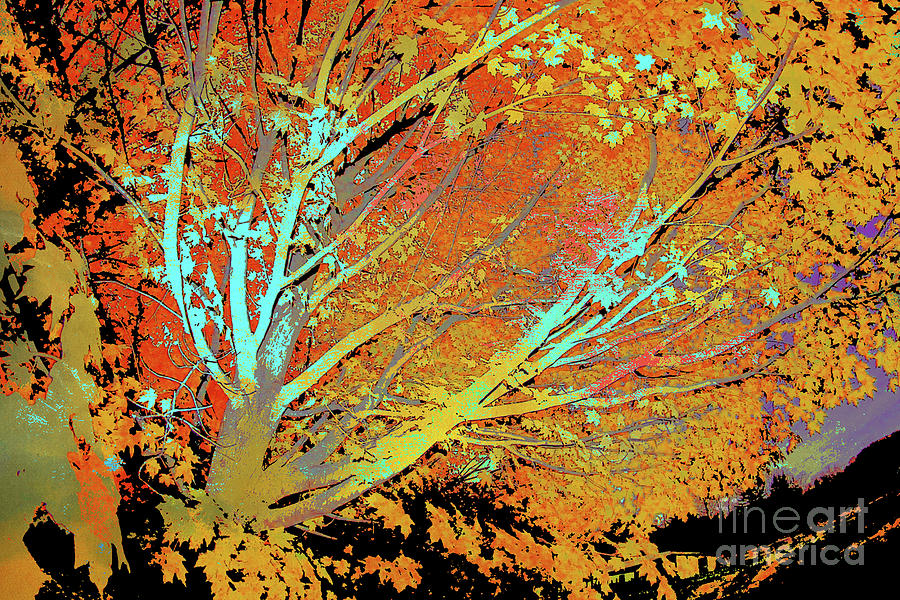 Tree Branches 54 Digital Art by Chris Taggart - Pixels