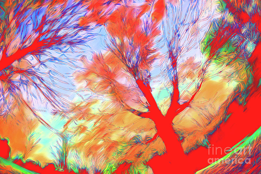 Tree Branches 99 Digital Art by Chris Taggart | Pixels