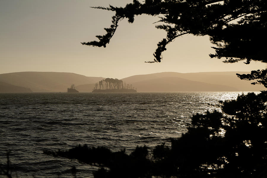 Summer Photograph - Tree Covered Island On Tomales Bay Seen Through Trees In Foreground by Cavan Images