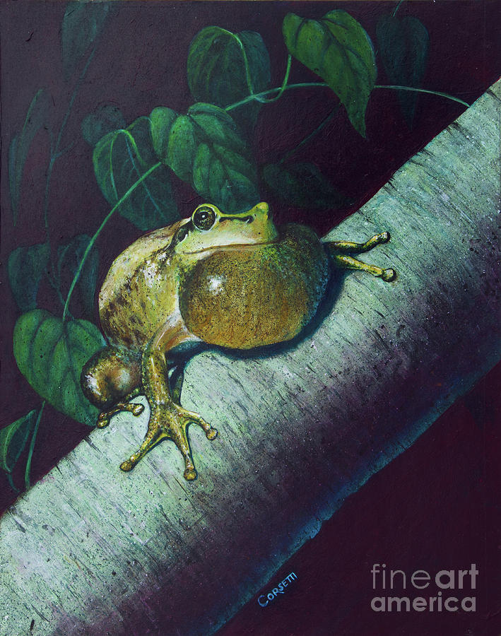 Tree Frog Painting by Robert Corsetti