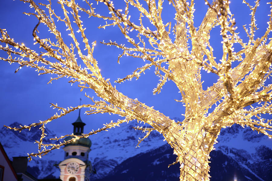 Tree Illuminated For Christmas At Dusk Photograph by Vincenzo Lombardo