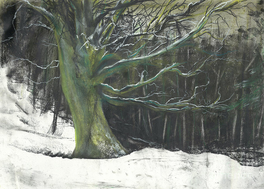 Tree in winter snow at Osmotherley woods Pastel by Vincent Alexander Booth