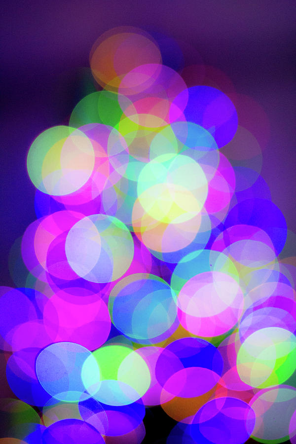 Tree Lights - Color Photograph