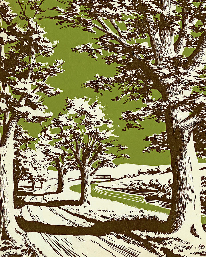 Tree Lined Country Lane Drawing by CSA Images - Fine Art America