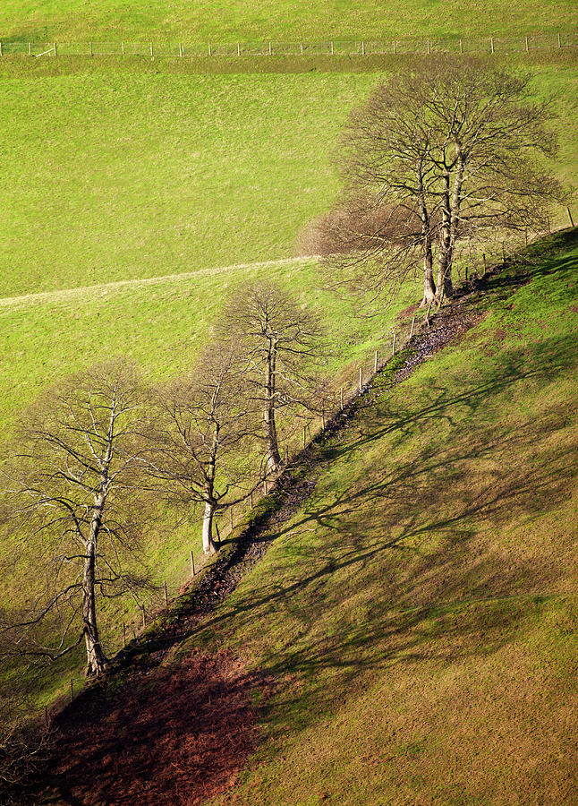 Tree Lined Stone Wall In Welsh Hills Photograph by Peter Chadwick Lrps