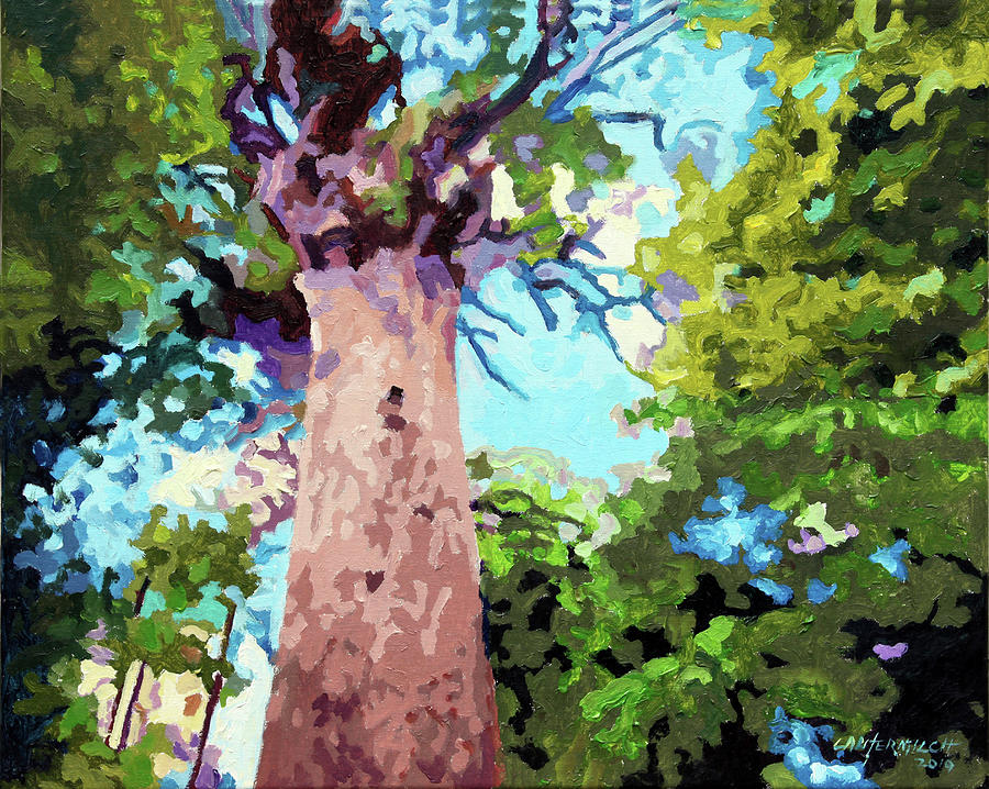 Forest Painting - Tree Lover by John Lautermilch Forest Painting - Tree Lover by John Lautermilch